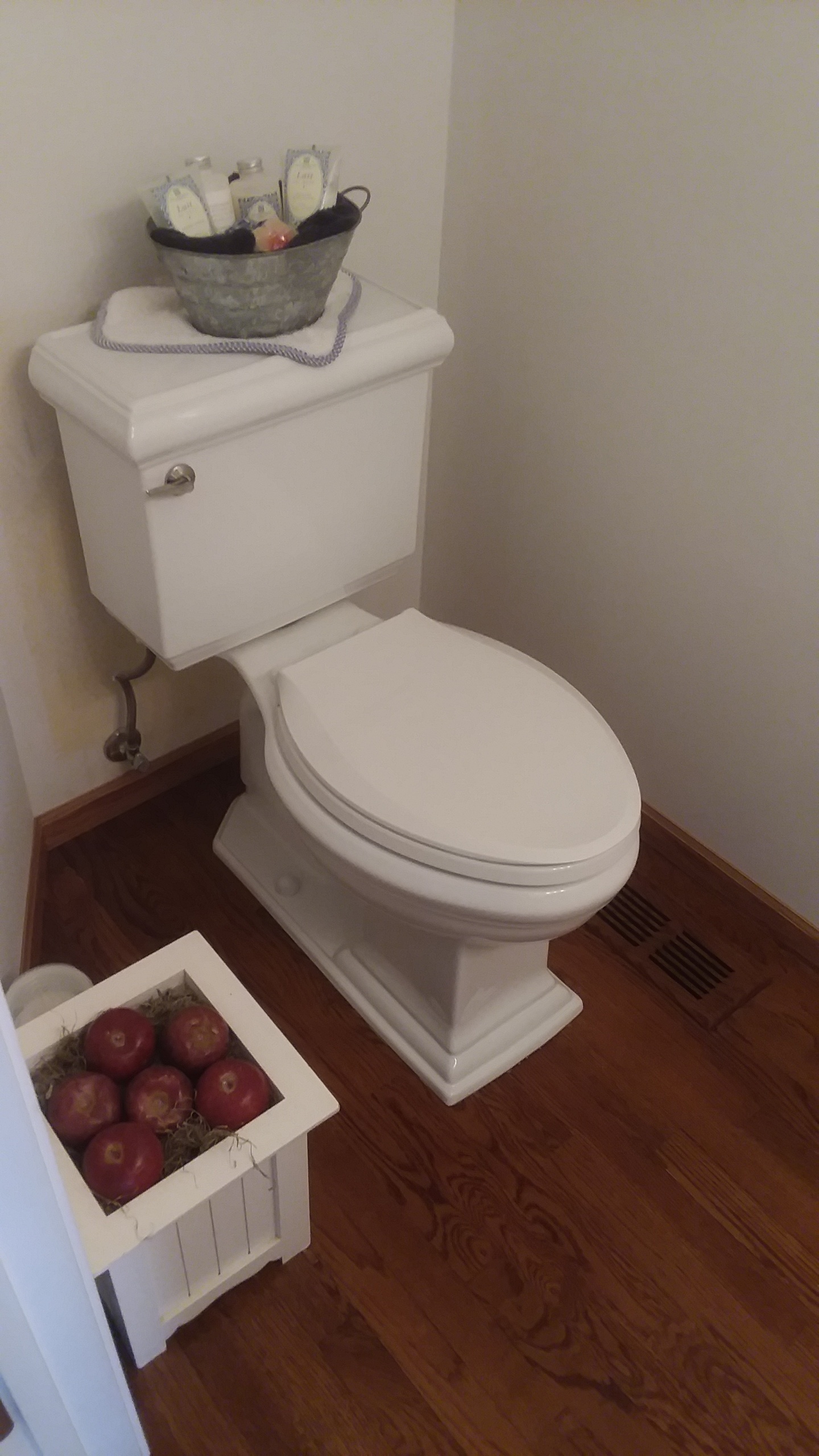 Palatine toilet install